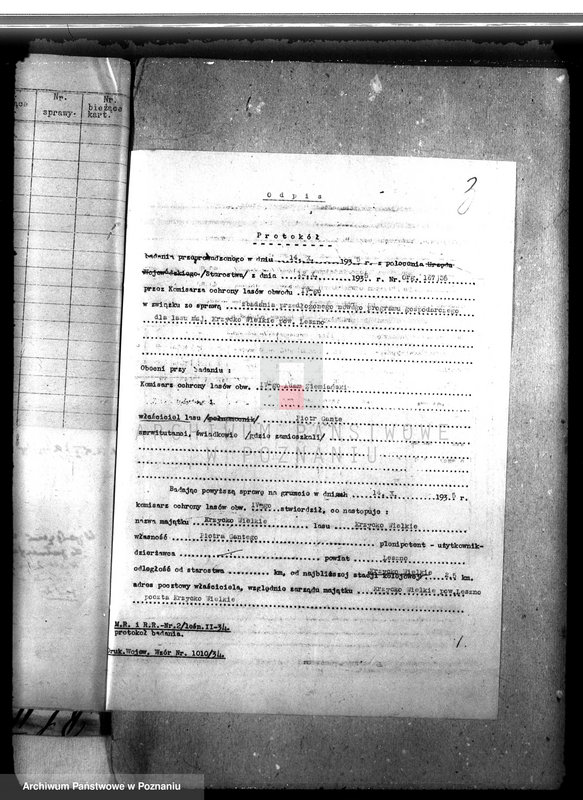 Obraz 7 z jednostki "Las majątku Krzycko Wielkie powiat leszczyński"