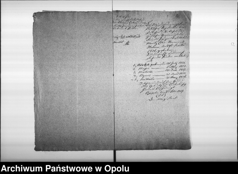 Obraz 17 z jednostki "Acta des Magistrats zu Oppeln betreffend Ertheilung von Geburts pp. Attesten für Juden"