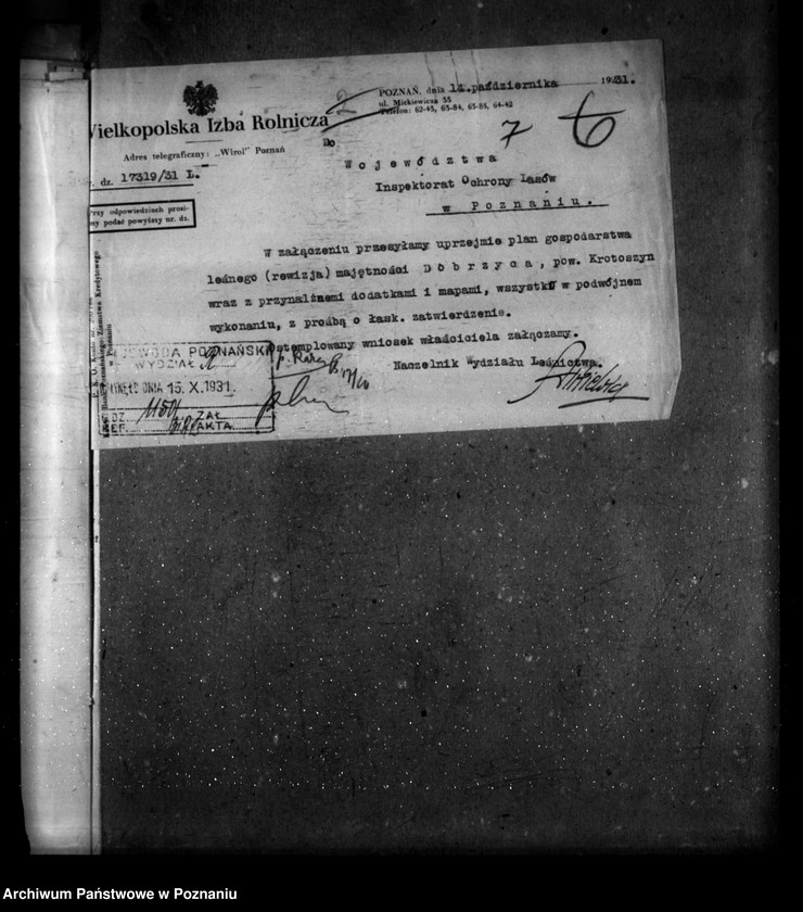 image.from.unit.number "Majętność leśna Dobrzyca powiat krotoszyński"