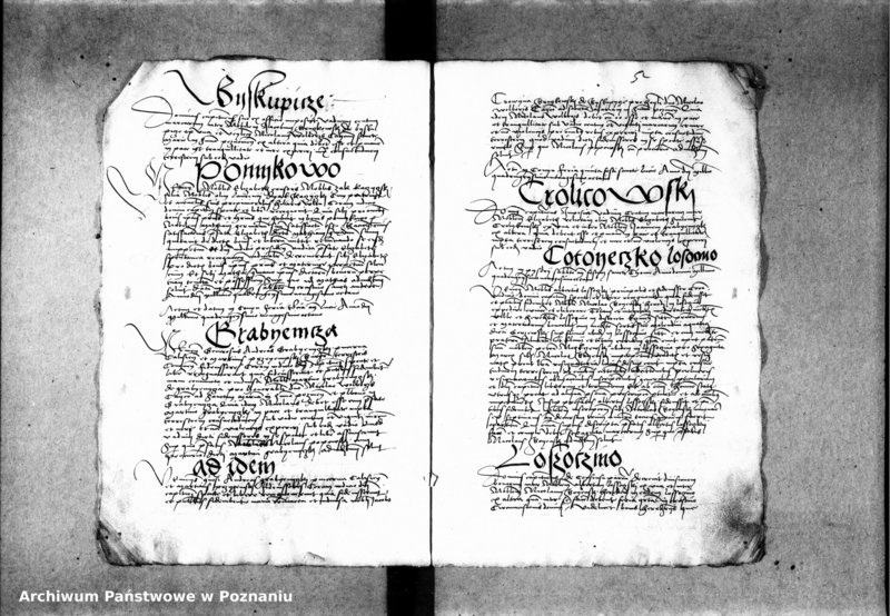 Obraz 11 z jednostki "Inscriptiones, relationes, decreta [inducta]"