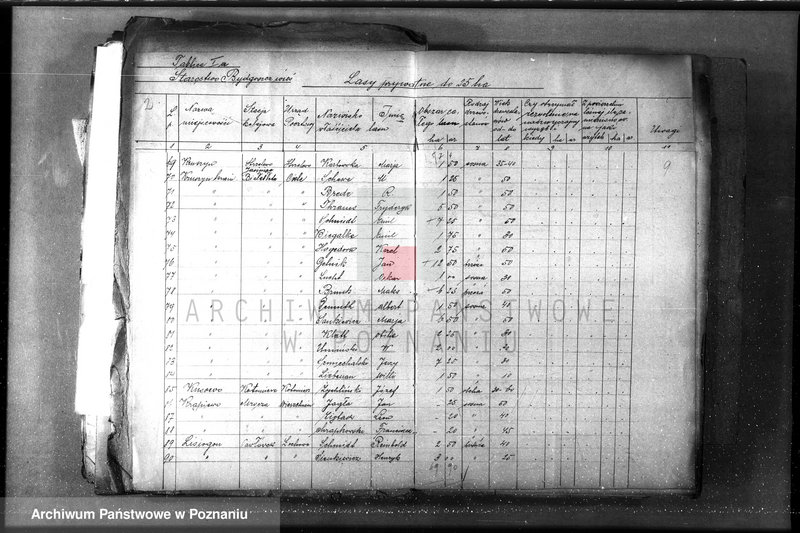 Obraz 9 z jednostki "/Lasy prywatne/ Spis według powiatów"