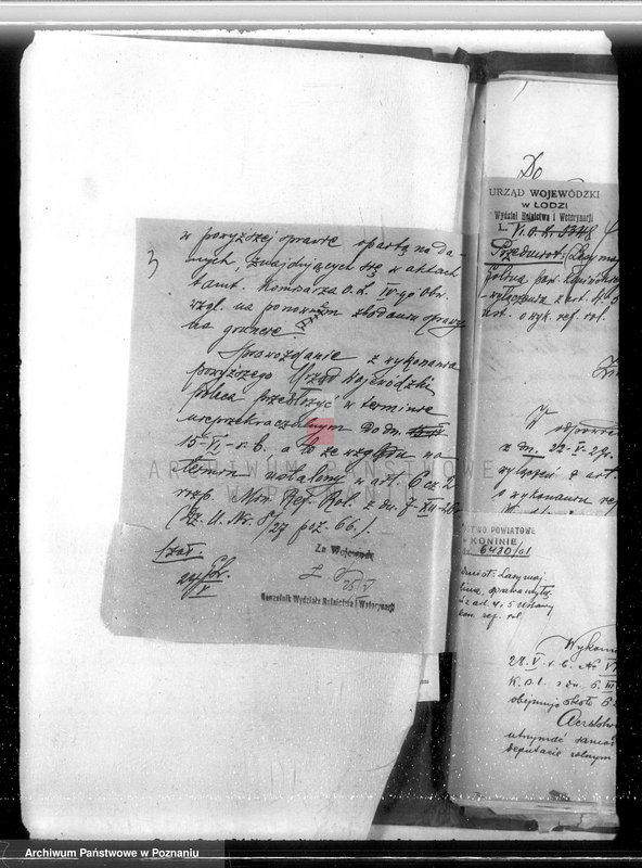 Obraz 7 z jednostki "Majątek Goliński powiat koniński /nadzór nad gospodarką leśna/"