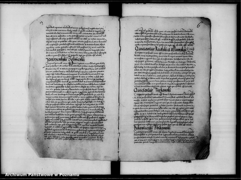 Obraz 11 z jednostki "Inscriptiones, relationes [inducta]"