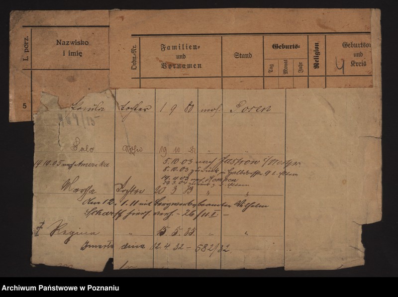 Obraz 12 z jednostki "Szwarc (żonaci i wdowy)"