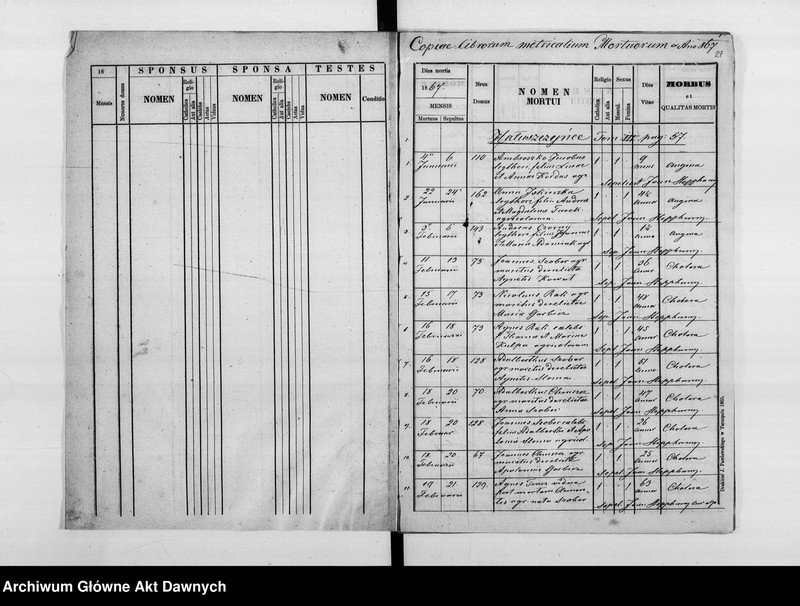 image.from.unit.number "Parafia: Hałuszczyńce. Dekanat: Skałat. Księga metrykalna urodzeń, ślubów i zgonów dla wsi: Hałuszczyńce*, Chmieliska*, Chodaczków Mały**, Konstantynówka, Romanowe Sioło, Żerebki Królewskie, Żerebki Szlacheckie."
