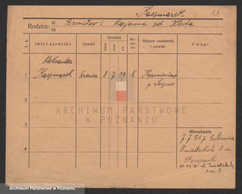 Obraz 11 z jednostki "Kaczmarek A-H (samotni mężczyźni)"