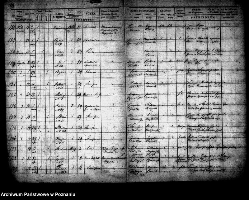 Obraz 11 z jednostki "Księga urodzeń"