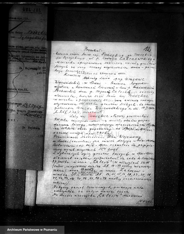 Obraz 16 z jednostki "Częściowa zmiana rodzaju użytkowania 5,83 ha gruntów leśnych w majątku Zalesin powiat turecki"