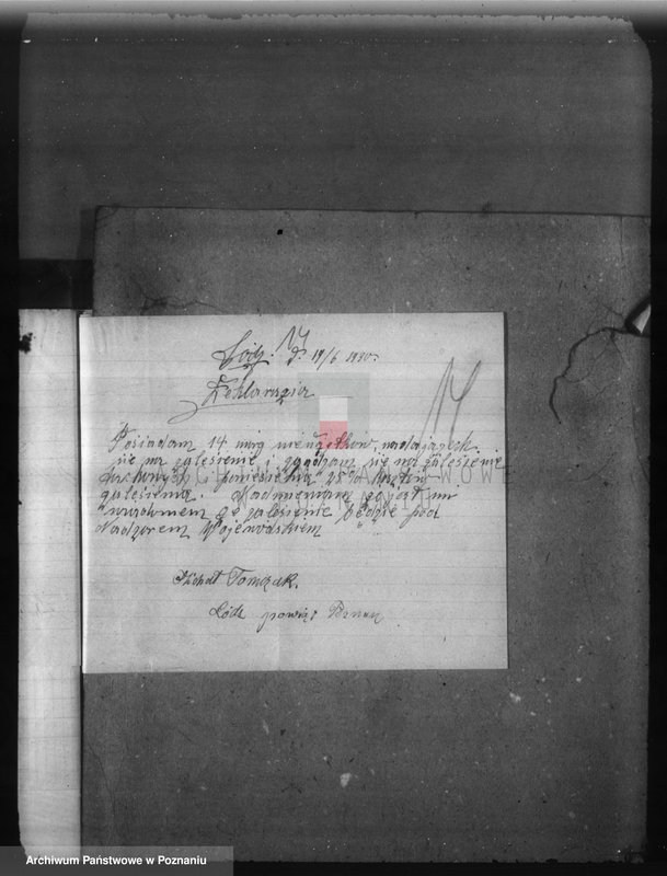 Obraz 18 z jednostki "Zalesienie nieużytków w powiecie poznańskim"