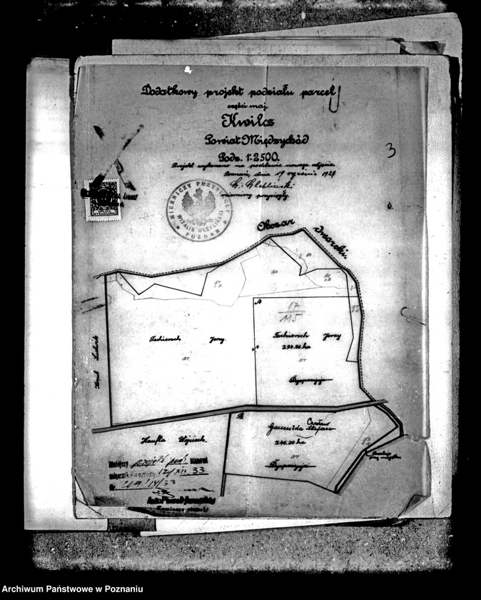 Obraz 7 z jednostki "Dodatkowy projekt parcelacyjny majątku Kwilcz powiatu międzychodzkiego"