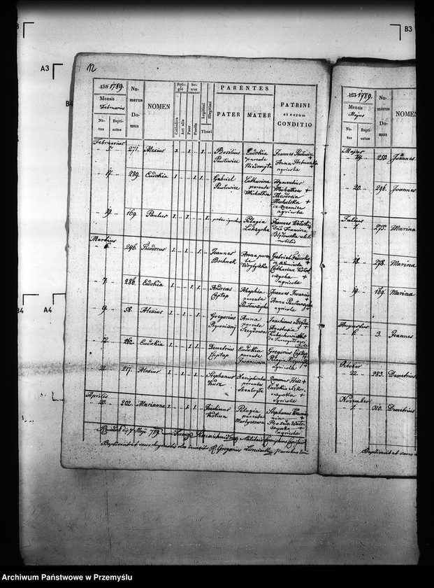 image.from.unit.number "[Kopie ksiąg metrykalnych parafii Majdan Sieniawski z filiami Adamówka, Krasne (dekanat Sieniawa)]"