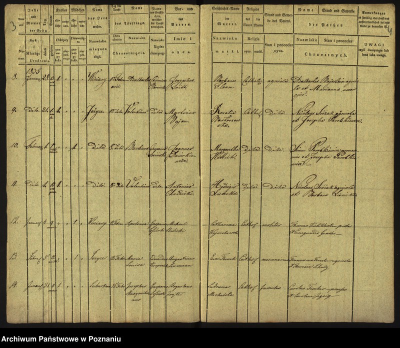 Obraz 5 z jednostki "Księga urodzeń"