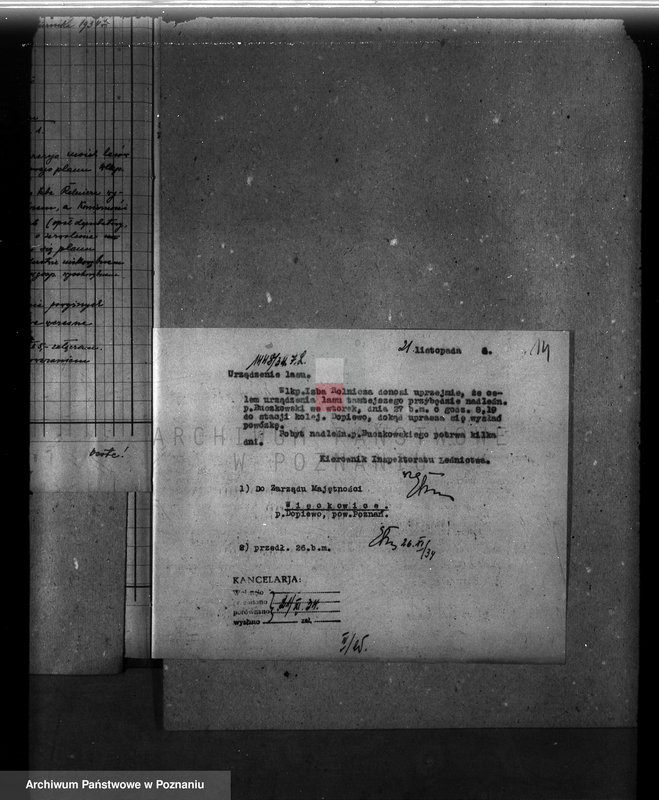 Obraz 18 z jednostki "Program gospodarczy dla lasu J. Kajewskiego w gminie Wiórek powiat poznański 1929-1939"