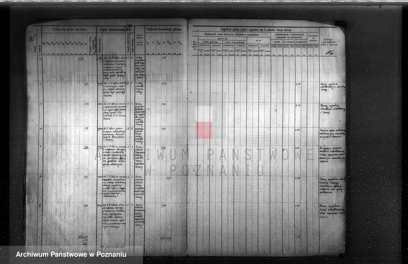 Obraz 19 z jednostki "Plan urządzenia gospodarstwa leśnego dla lasu majętności Brzoza powiat szamotulski 1929-1939"