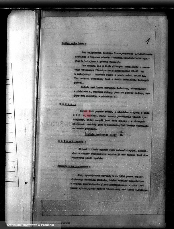 Obraz 5 z jednostki "Plan urządzania gospodarstwa leśnego dla lasu majętności Borówkowo-Stare i Piotrkowice powiat kościański"