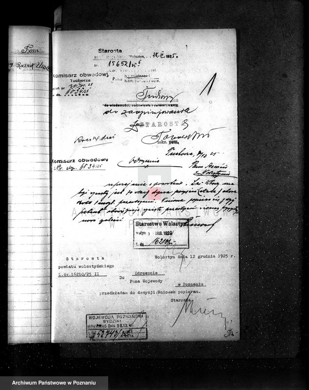 Obraz 6 z jednostki "Majętność leśna Kiełpiny powiat wolsztyński"