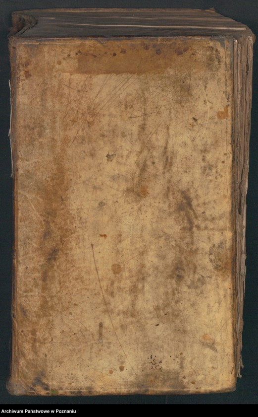 Obraz 3 z jednostki "Protocolon actorum officii consularis Posnaniensis."