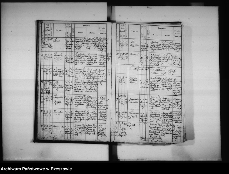 image.from.unit.number "Księga urodzeń Medynia Głogowska i Medynia Łańcucka"