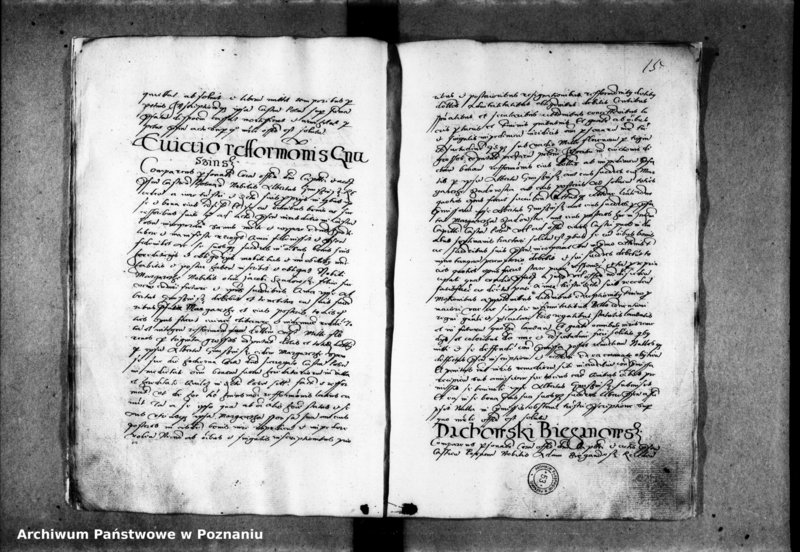 Obraz 20 z jednostki "Inscriptiones, relationes [inducta]"