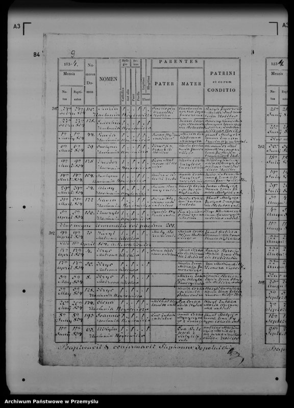 Obraz 13 z jednostki "[Kopie ksiąg metrykalnych parafii Topolnica z filią Niedzielna (dekanat Rozłucz)]"