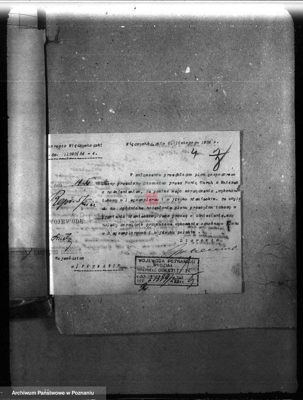 Obraz 8 z jednostki "Majętność leśna Mniszki w powiecie międzychodzkim"