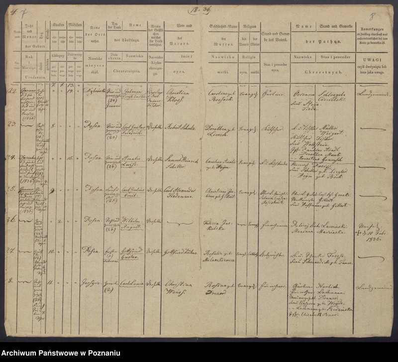 Obraz 7 z jednostki "[Akta urodzeń i chrztów, zgonów i pogrzebów, zapowiedzi i ślubów]"