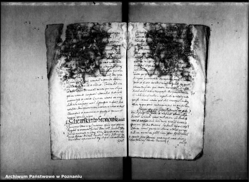 Obraz 13 z jednostki "Decreta officii [inducta]"