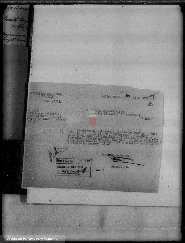 Obraz 10 z jednostki "Majątek Kuszyn powiat kaliski /sprawy leśne/"