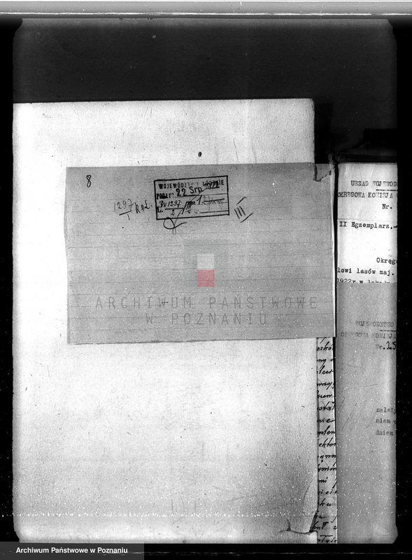 Obraz 12 z jednostki "Sprawa zmiany rodzaju użytkowania w związku z parcelacją powiat 19,5 ha gruntów leśnych w majątku Piorunów powiat koniński"