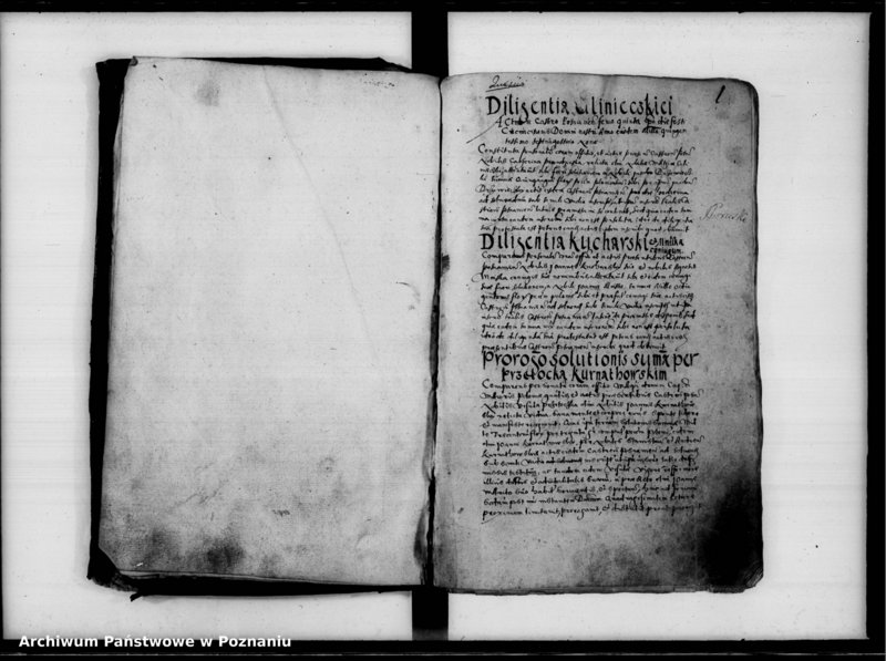 Obraz 4 z jednostki "Inscriptiones, relationes [inducta]"