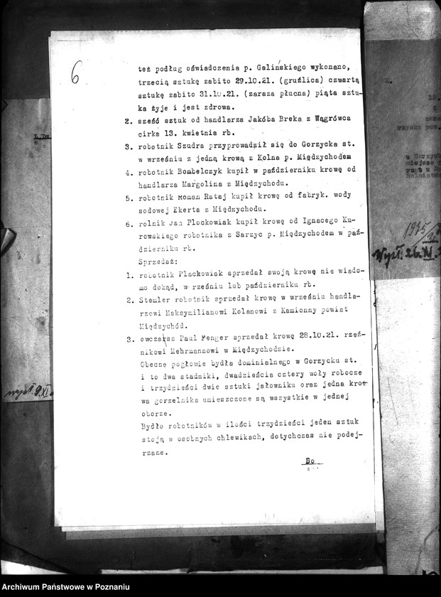 Obraz 10 z jednostki "Zaraza płucna - Międzychód"