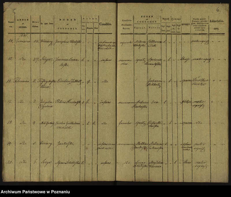 Obraz 6 z jednostki "Księga zgonów"