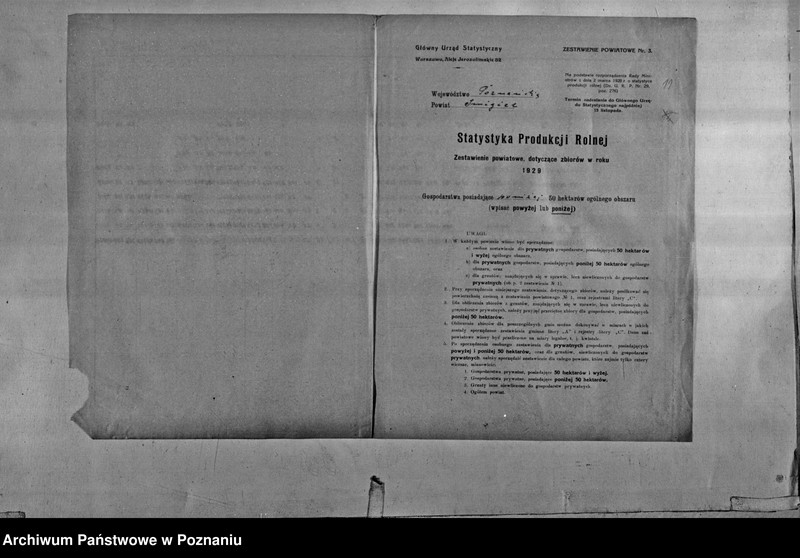 Obraz 13 z jednostki "/Statystyka produkcji rolnej - zestawienie powiatowe - Śmigiel"