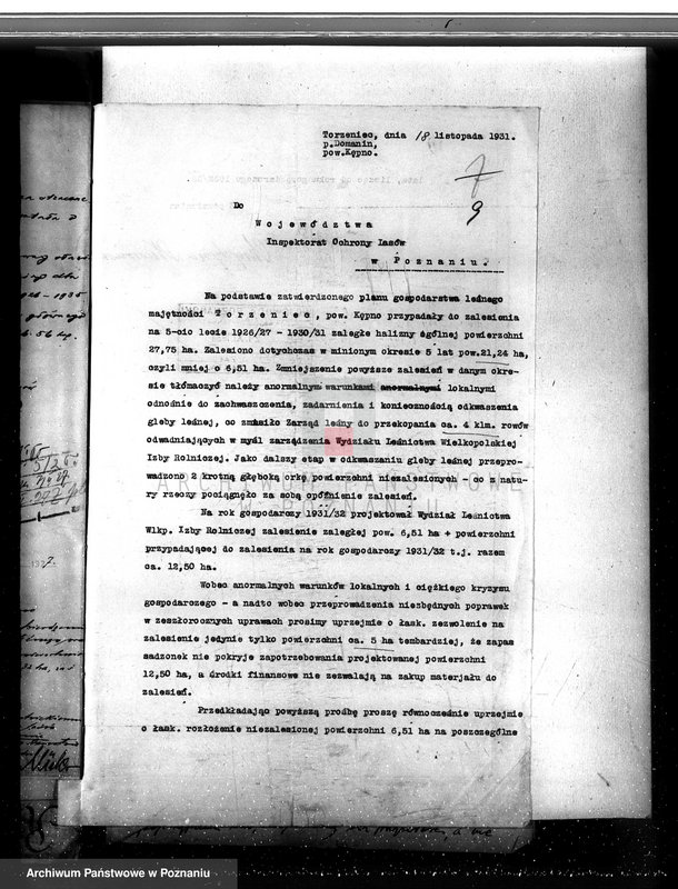 Obraz 13 z jednostki "Nadzór nad gospodarką w lasach majętności Torzeniec powiat kępiński"