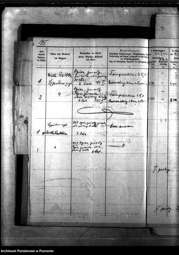 Obraz 19 z jednostki "Nosacizna - Sempolno"