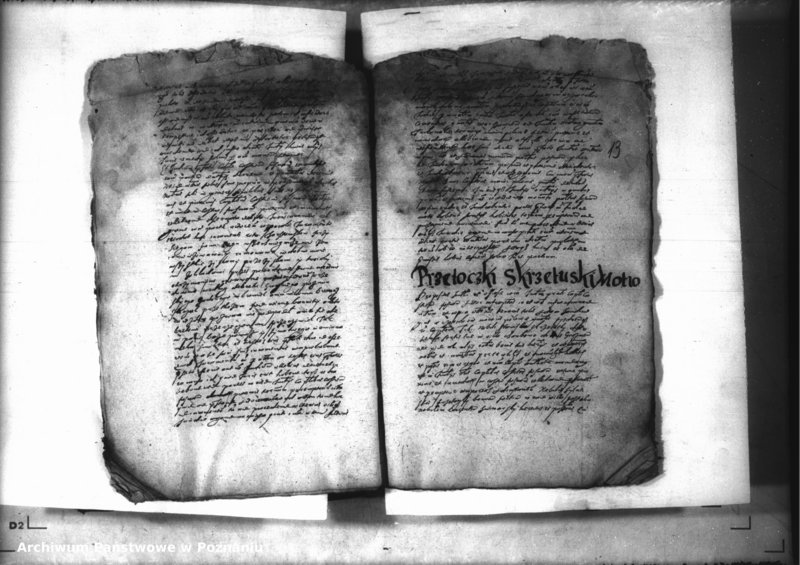 Obraz 15 z jednostki "Decreta iudicii [inducta]"