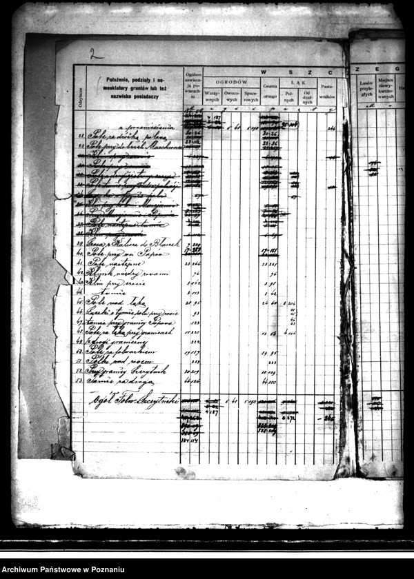 Obraz 6 z jednostki "/Rejestr pomiarowy dóbr Szczytniki powiat kaliski"