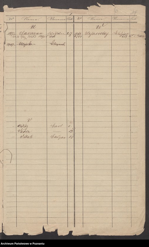 Obraz 10 z jednostki "A. betr. die Zuzüge zu den Insurgenten nach Polen vom Auslande /Deutsche, Franzosen, Italiener, Engländer, Dänen…/"