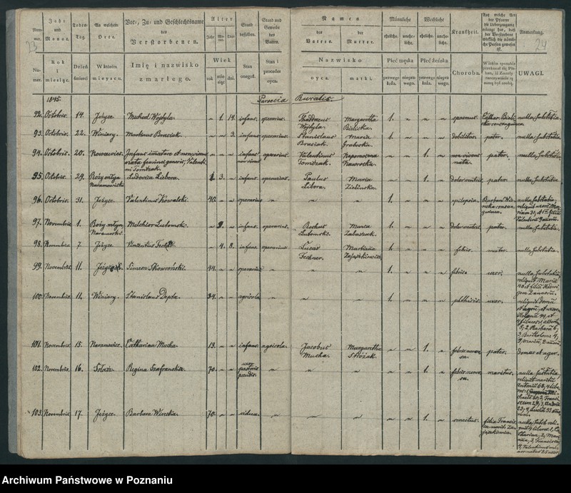 Obraz 14 z jednostki "Księga zgonów"