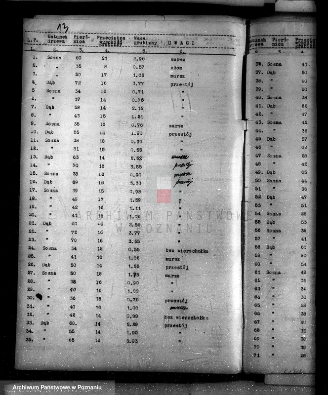 Obraz 17 z jednostki "Lasy miasta Dąbie powiatu kolskiego"