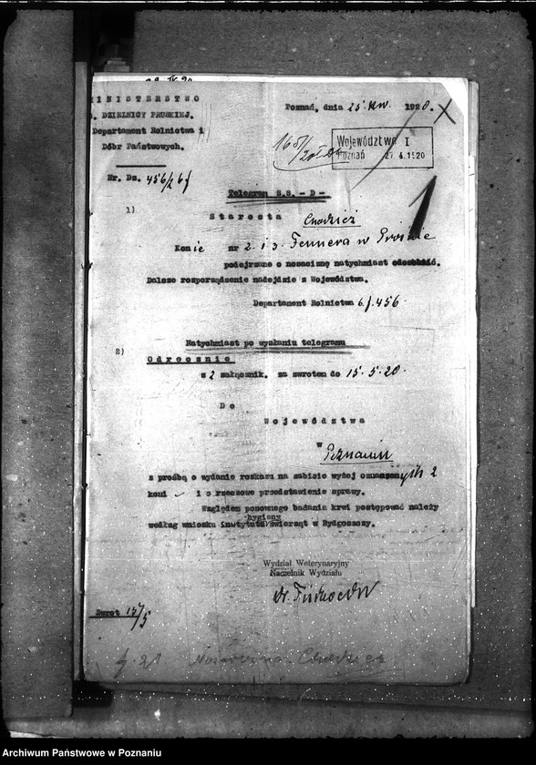 Obraz 6 z jednostki "Nosacizna - Chodzież"