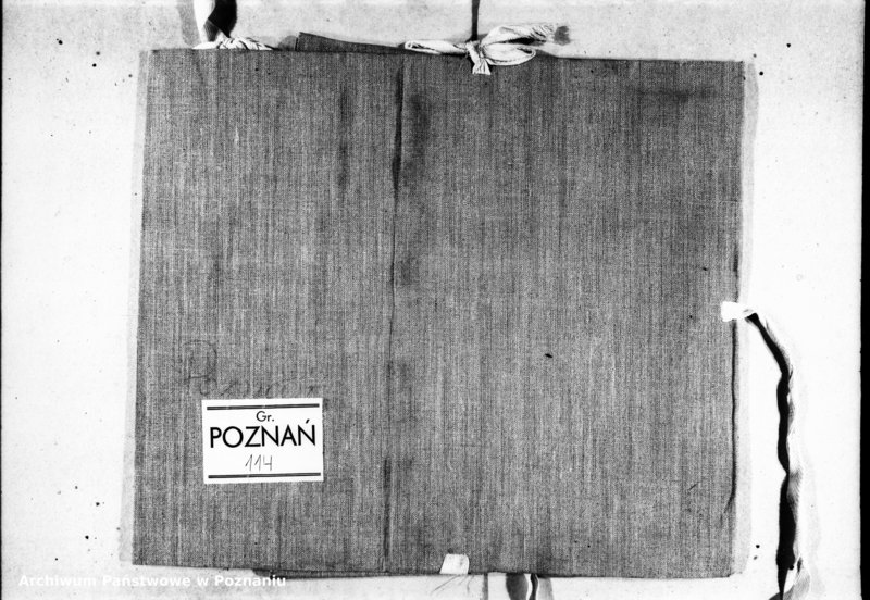 Obraz 3 z jednostki "Inscriptiones, relationes [inducta]"