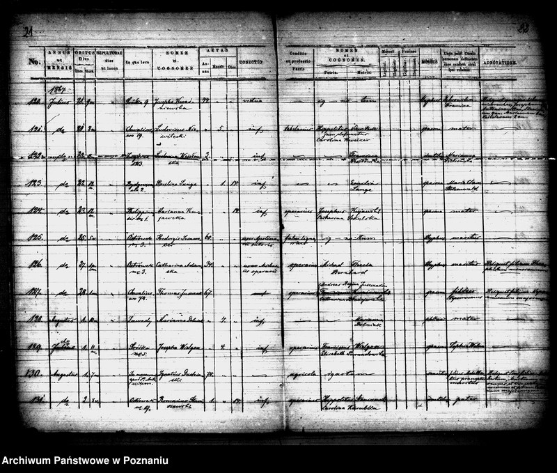 Obraz 12 z jednostki "Księga zgonów"