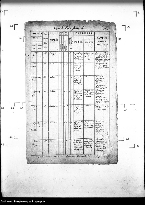 Obraz 5 z jednostki "[Kopie ksiąg metrykalnych parafii Krzywa z filiami Jasionka, Wołowiec (dekanat Gorlice)]"