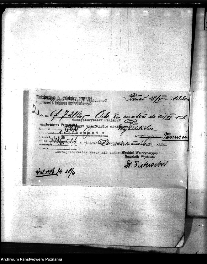 Obraz 6 z jednostki "Nosacizna - Tuchola"