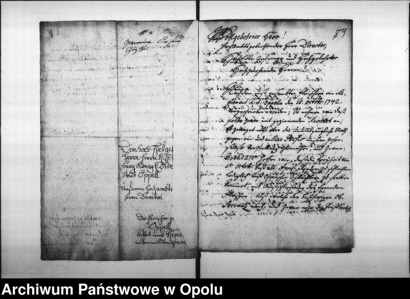 Obraz 11 z jednostki "Acta des Magistrats zu Oppeln betreffend das hiesige Fleischer-Mittel"