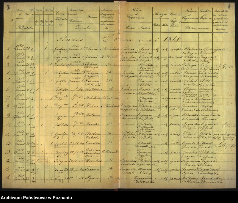 Obraz 4 z jednostki "Księga urodzin"