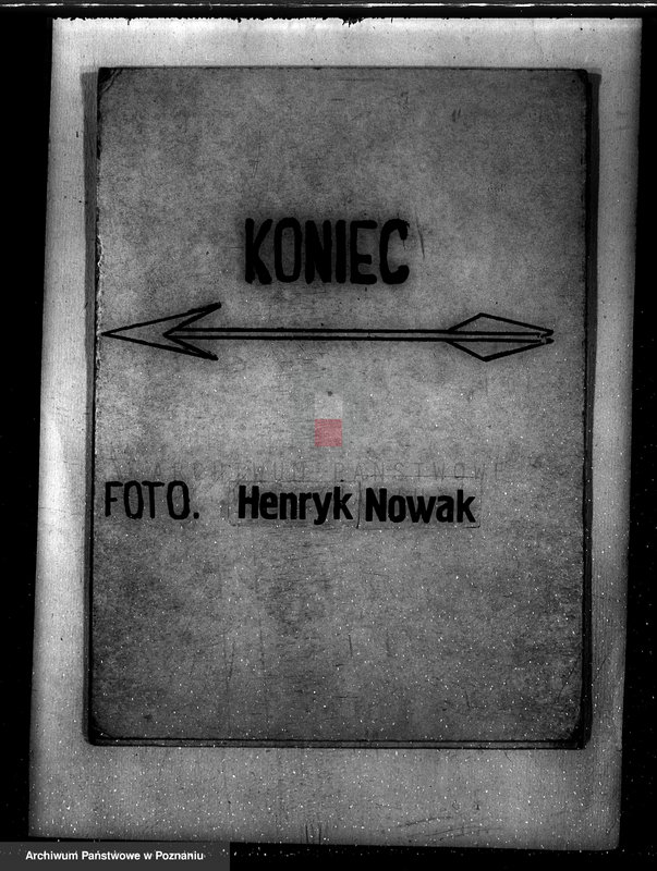 Obraz 17 z jednostki "Napachanie powiat poznański nadzór nad gospodarką leśną"