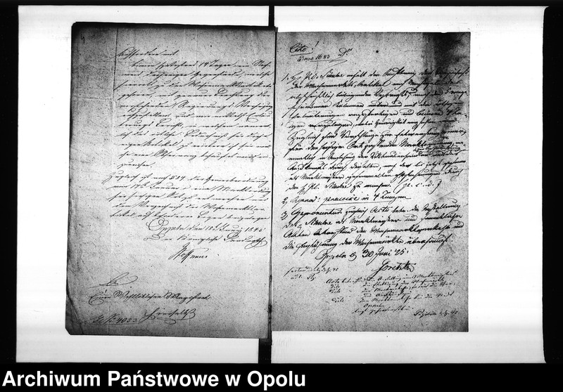 Obraz 8 z jednostki "Acta des Magistrats zu Oppeln betreffend die Markt-Ordnung für hiesige Stadt Vol I"