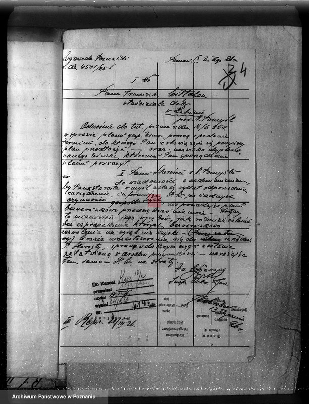 Obraz 8 z jednostki "/Nadzór nad gospodarką w lasach majątku Lubień-Helowskie w powiecie nowotomyskim"